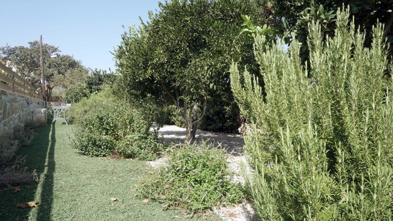 Studio Panagiota - Oasis Holiday Houses Kókinosz Pírgosz Kültér fotó