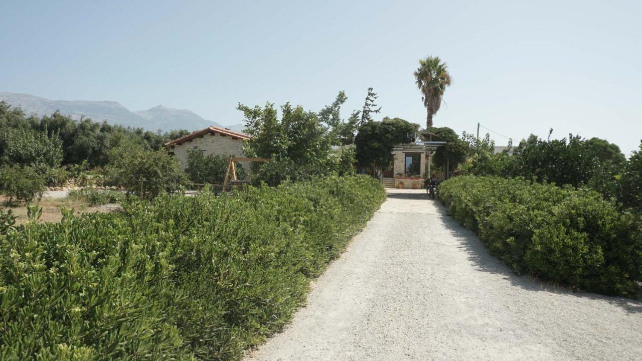 Studio Panagiota - Oasis Holiday Houses Kókinosz Pírgosz Kültér fotó