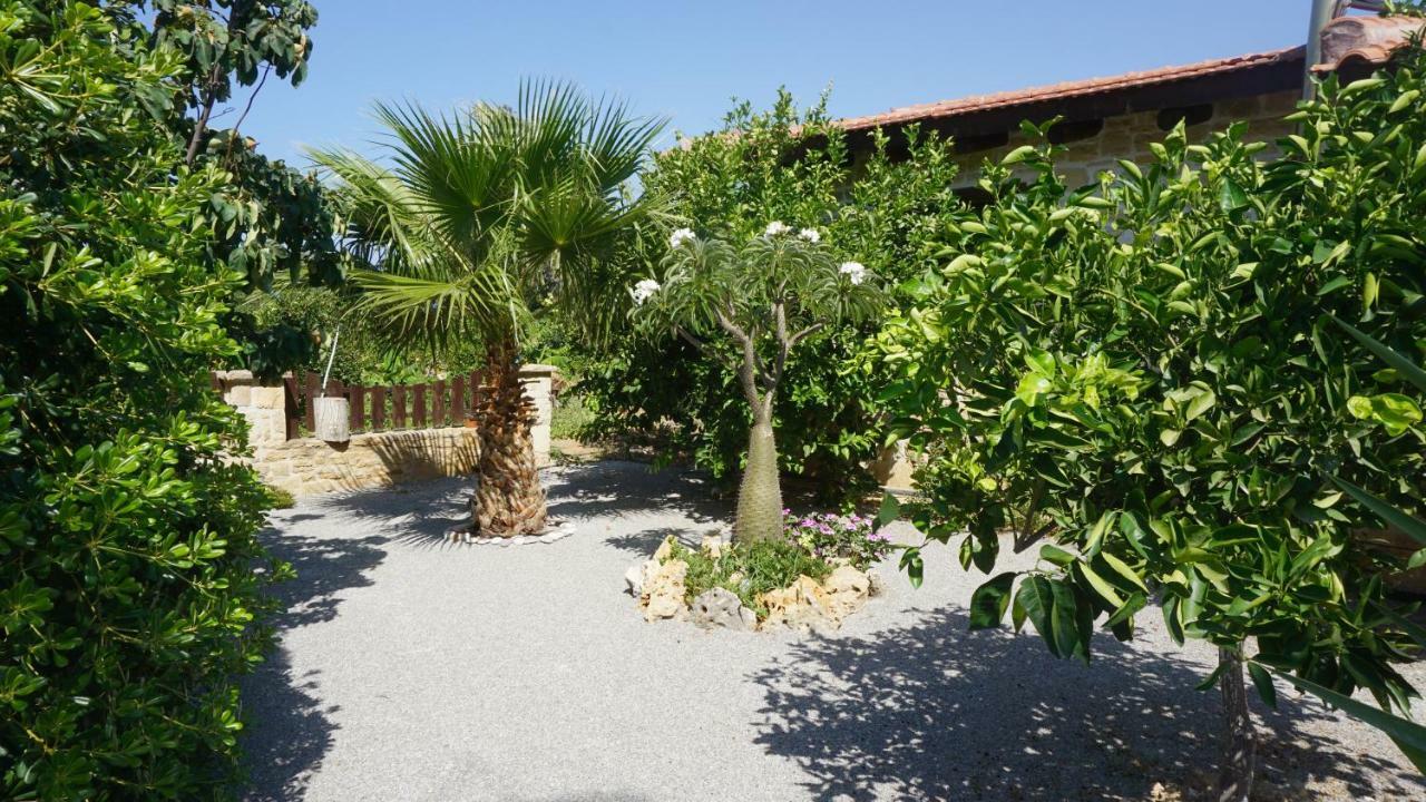 Studio Panagiota - Oasis Holiday Houses Kókinosz Pírgosz Kültér fotó